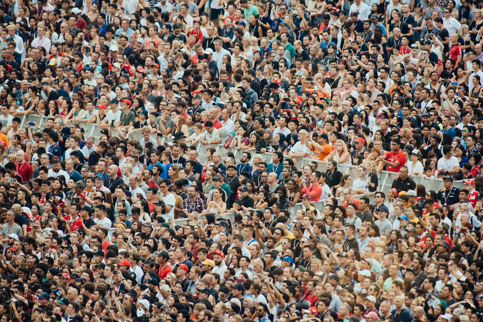 A dense crowd all facing the same direction
