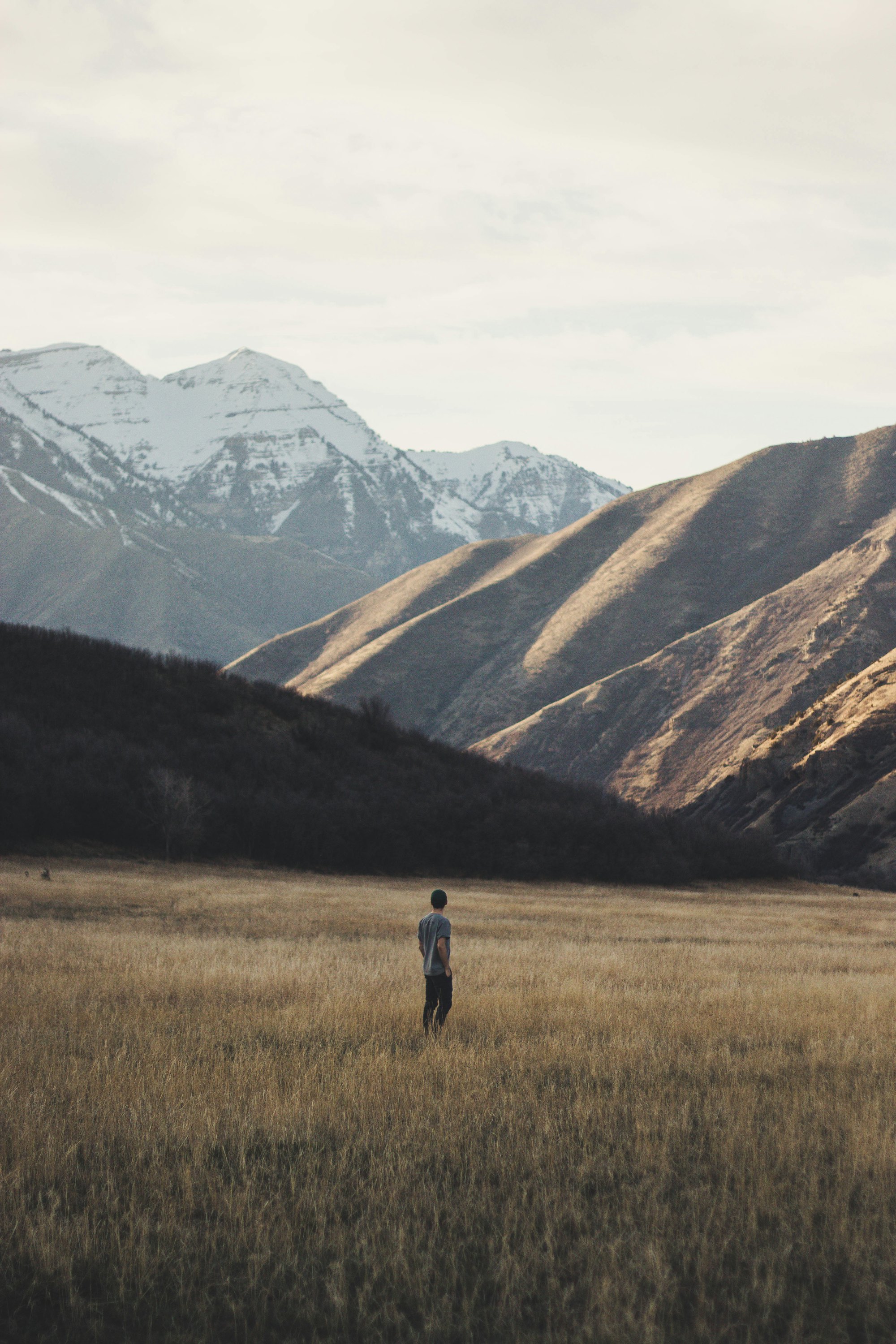 A lone figure standing in a wide valley before mountains