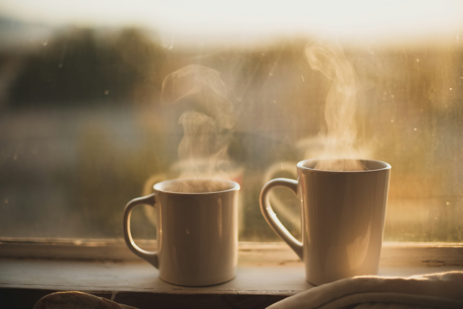 Two mugs by a window in morning light